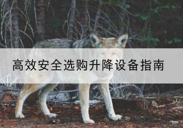 峨眉山升降货梯厂家推荐-*安全选购升降设备指南