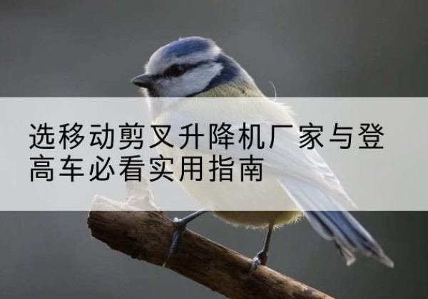 峨眉山电动升降机厂家-选移动剪叉升降机厂家与登高车必看实用指南