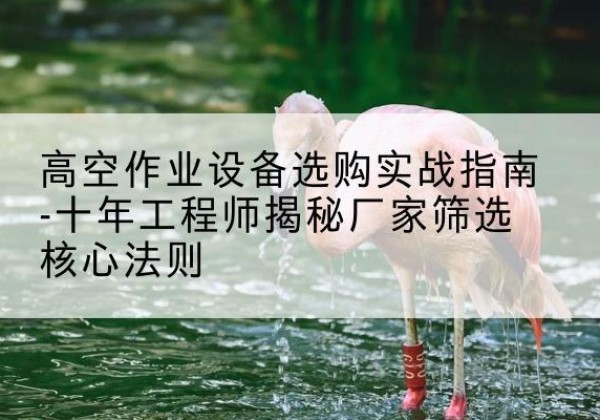 峨眉山剪叉式升降机厂家-高空作业设备选购实战指南-十年工程师揭秘厂家筛选核心法则
